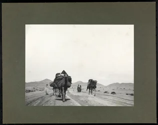 Nordafrika, Tänzerinnen und Musiker (Silbergelatineabzug)